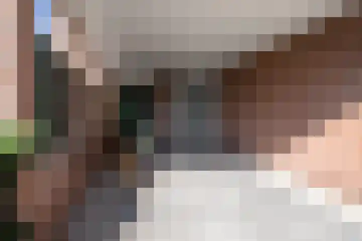 Cappelblok 42 Hoeven thumbnail 10