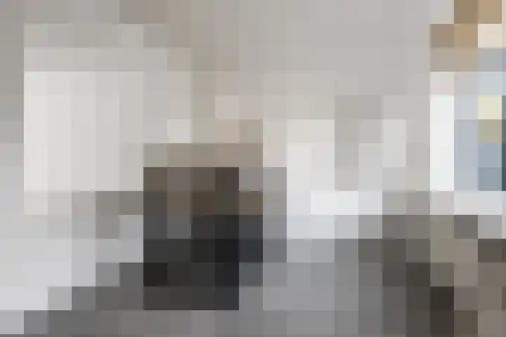 Cappelblok 42 Hoeven thumbnail 20