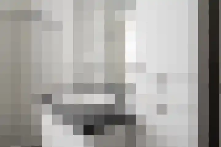 Cappelblok 42 Hoeven thumbnail 36