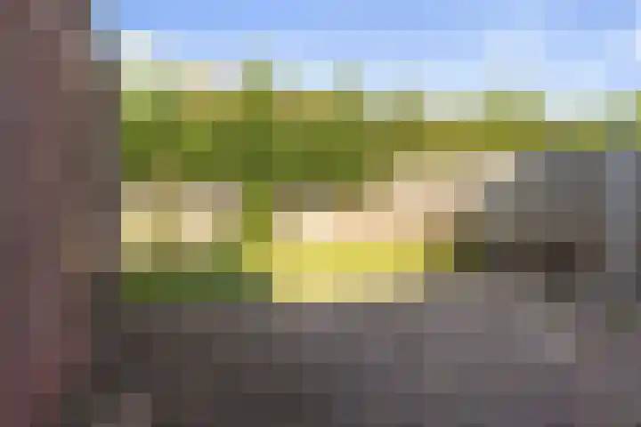 Cappelblok 42 Hoeven thumbnail 47