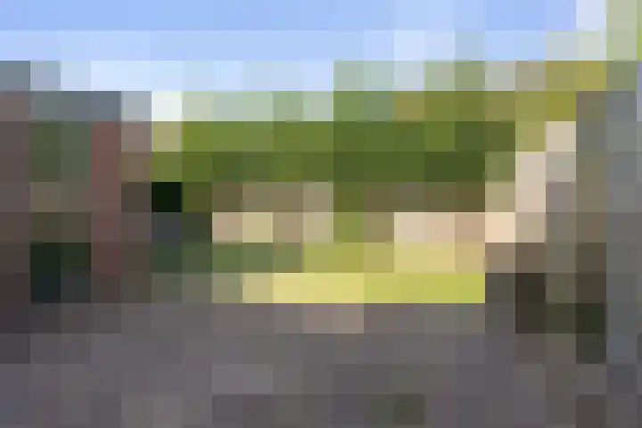 Cappelblok 42 Hoeven thumbnail 48