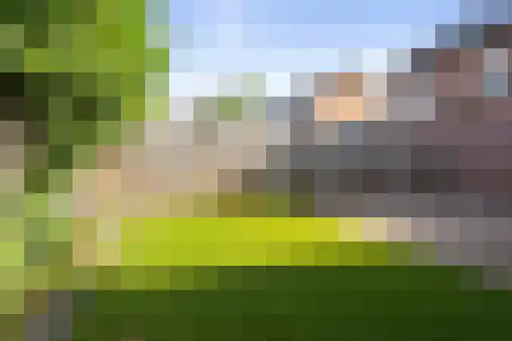 Cappelblok 42 Hoeven thumbnail 52