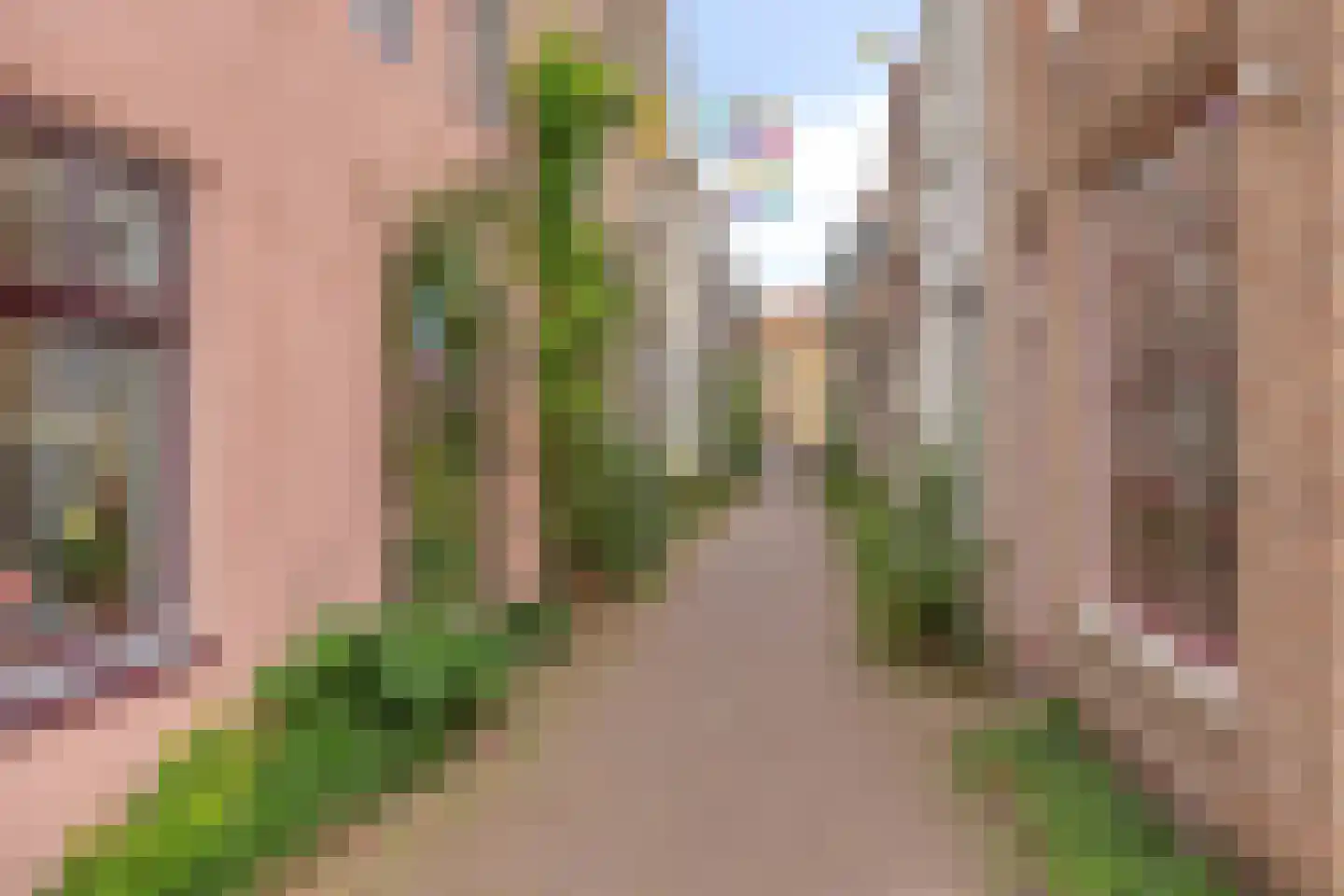 Cappenersteeg 26 a Gouda thumbnail 11