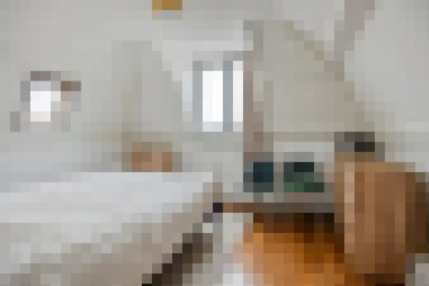 Cappenersteeg 26 a Gouda thumbnail 33