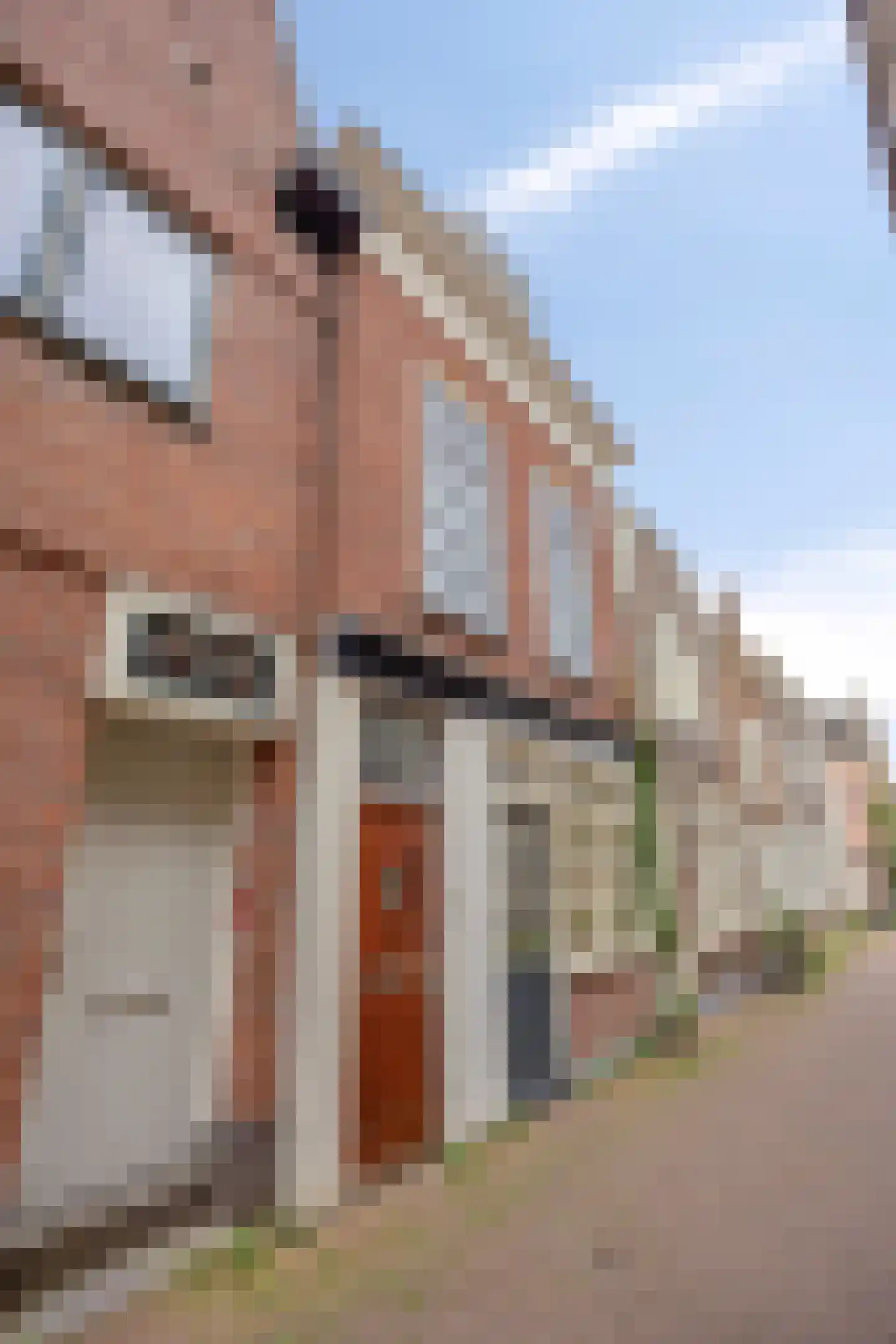 Cappenersteeg 26 a Gouda thumbnail 4