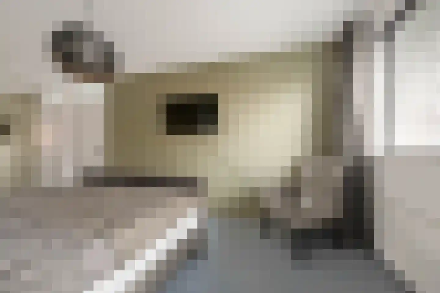 Capricciolaan 29 Nieuw-Vennep thumbnail 32