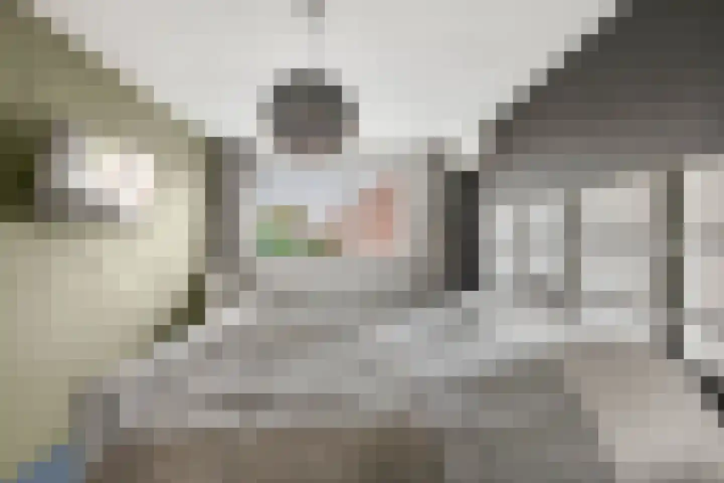 Capricciolaan 29 Nieuw-Vennep thumbnail 33