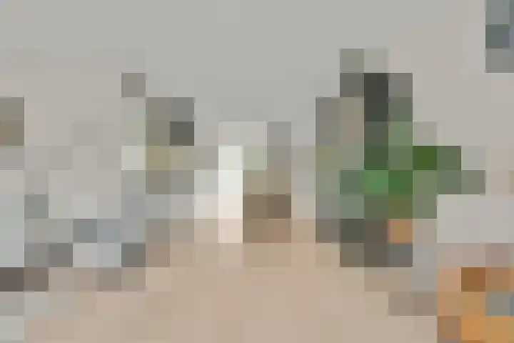 Capricciolaan 31 Nieuw-Vennep thumbnail 12