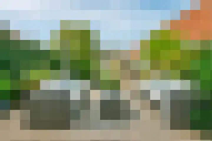 Capricciolaan 31 Nieuw-Vennep thumbnail 17