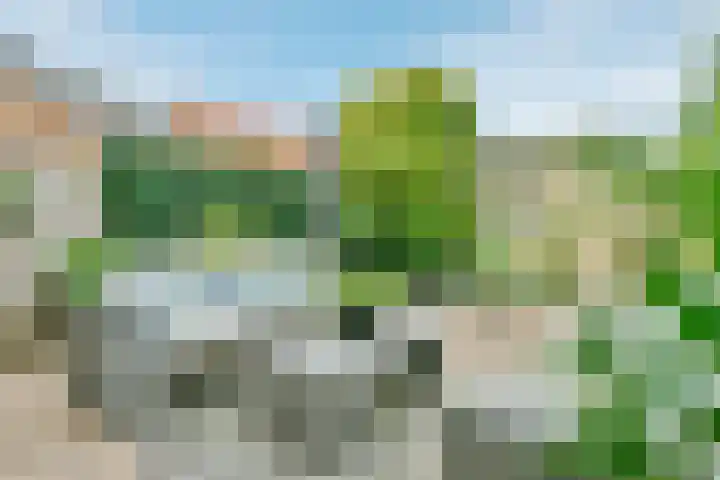 Capricciolaan 31 Nieuw-Vennep thumbnail 19