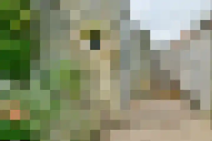 Capricciolaan 31 Nieuw-Vennep thumbnail 20