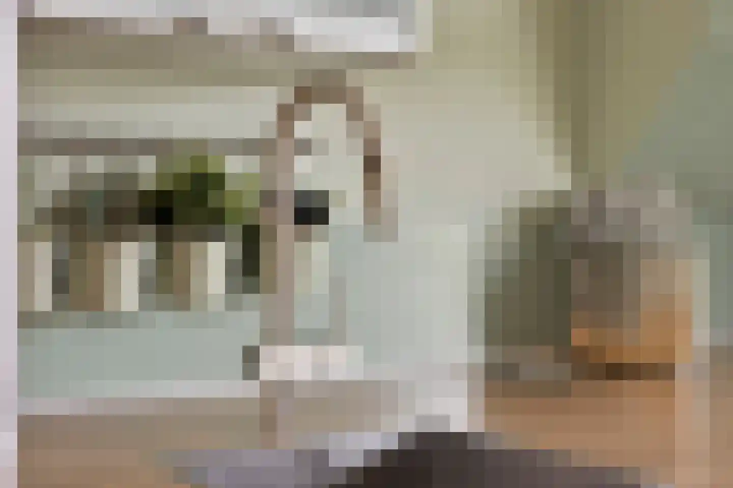 Caprihof 15 Rotterdam thumbnail 14