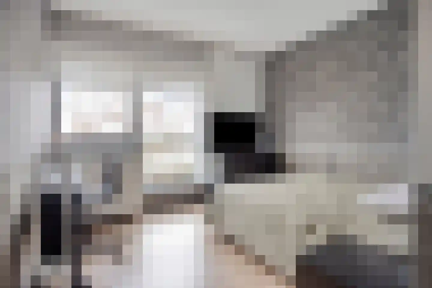 Caprihof 15 Rotterdam thumbnail 24
