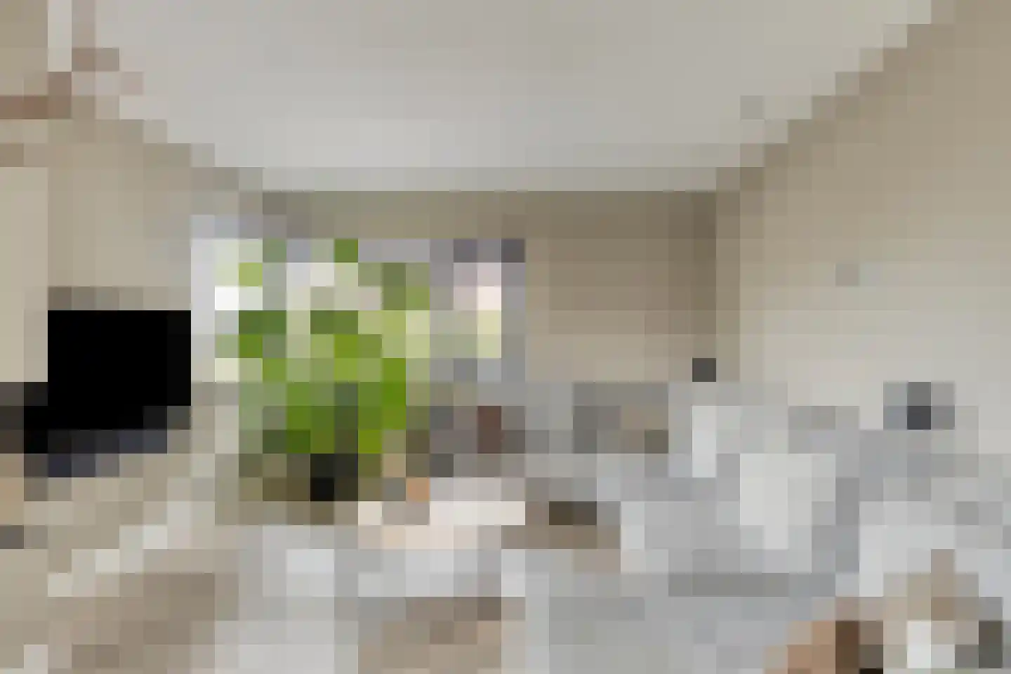 Captain Goodwinstraat 10 Kilder thumbnail 10