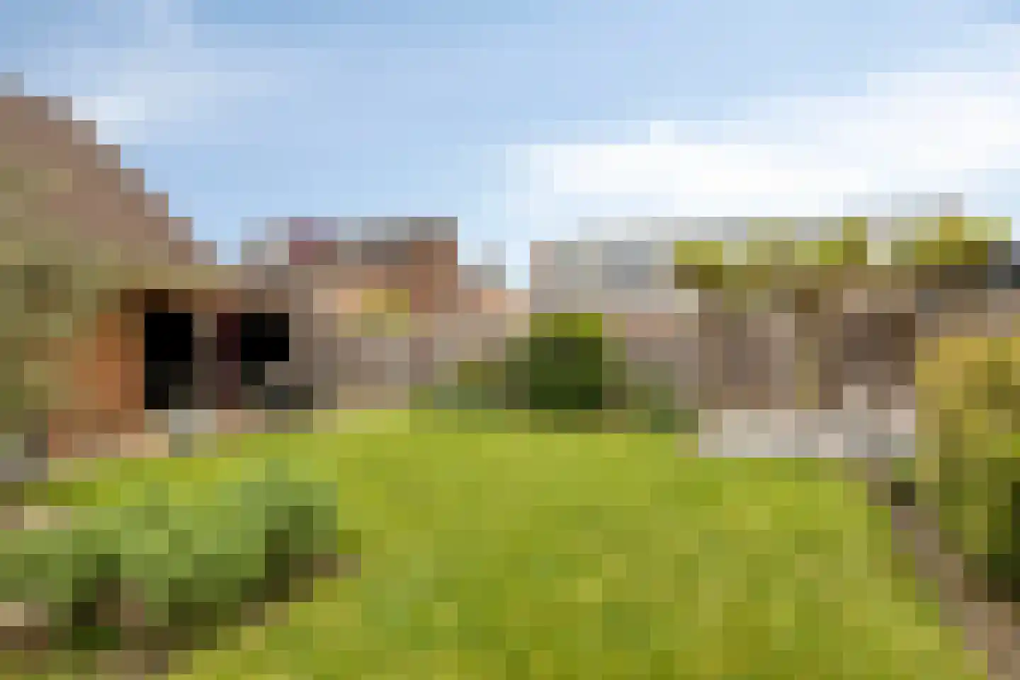 Captain Goodwinstraat 10 Kilder thumbnail 5
