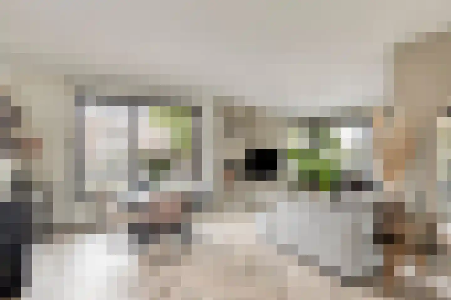 Captain Goodwinstraat 10 Kilder thumbnail 8