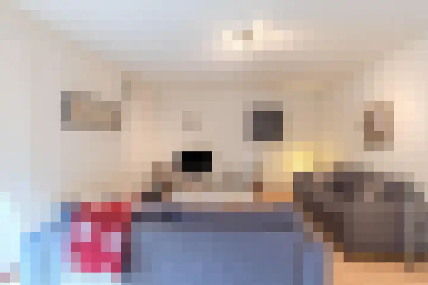 Capucijnengang 19 A Maastricht thumbnail 11