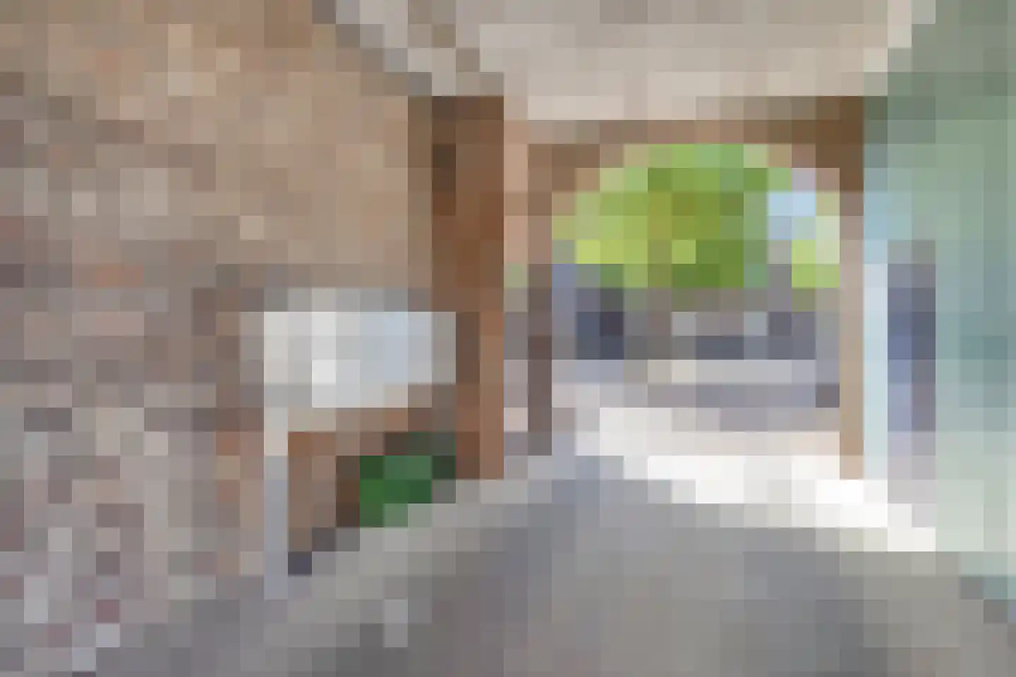Capucijnengang 25 B Maastricht thumbnail 18