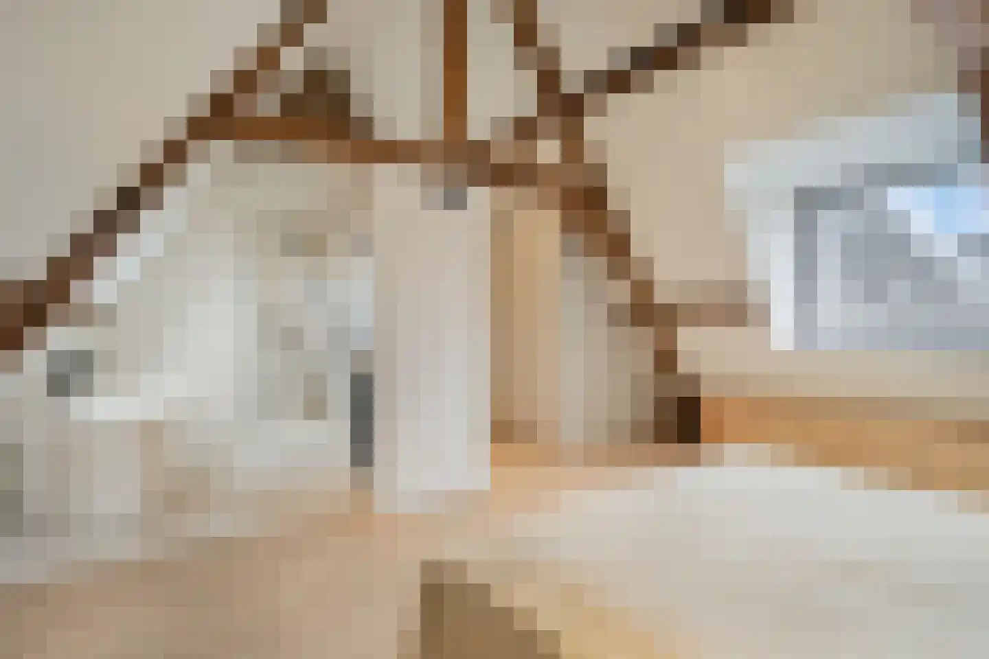 Capucijnengang 6 Maastricht thumbnail 21