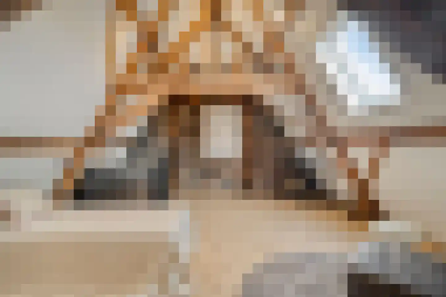 Capucijnengang 6 Maastricht thumbnail 30