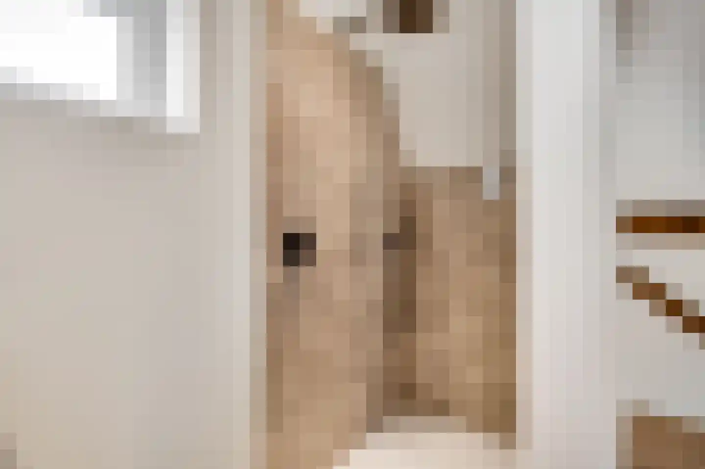Capucijnengang 6 Maastricht thumbnail 32