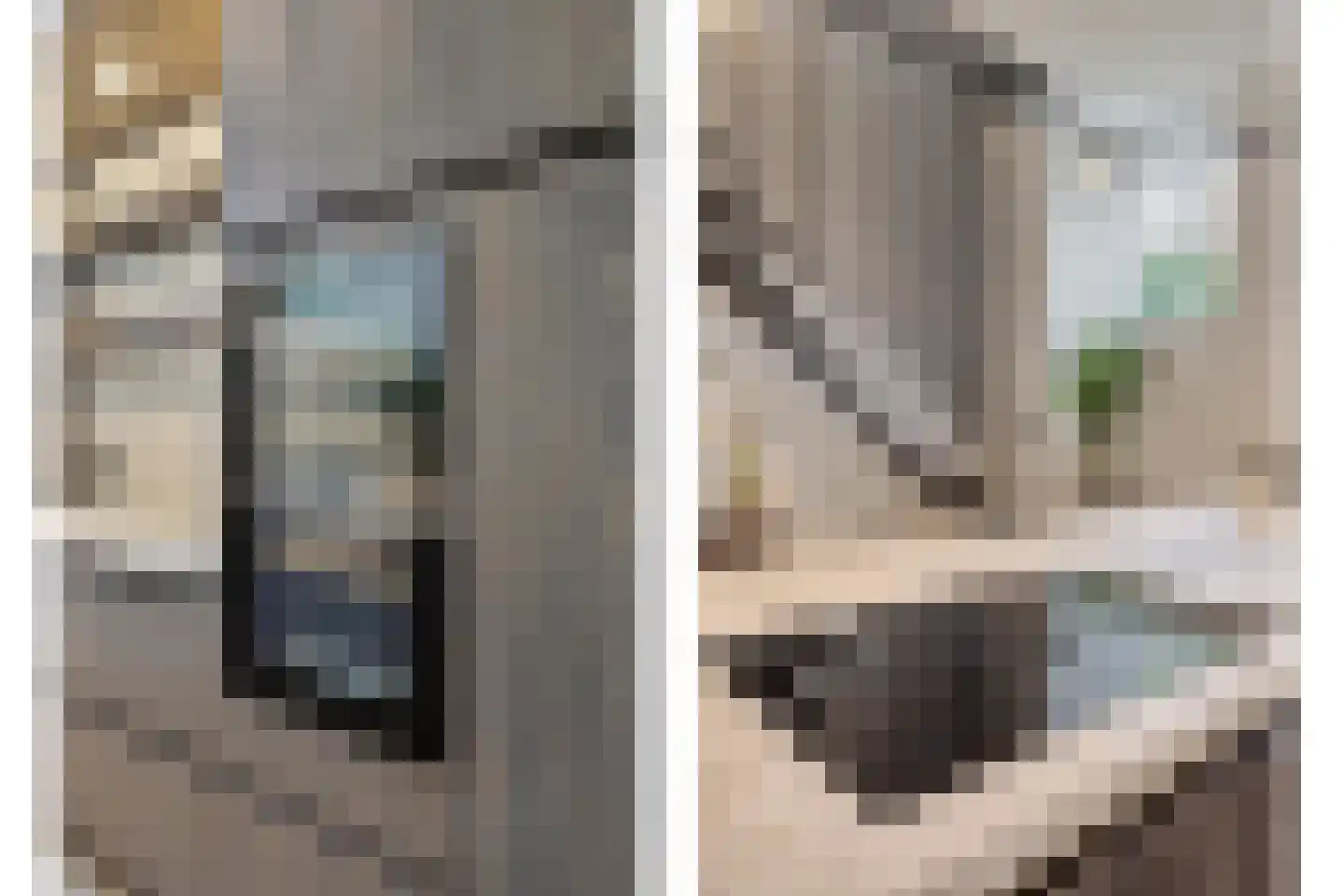 Capucijnengang 6 Maastricht thumbnail 7