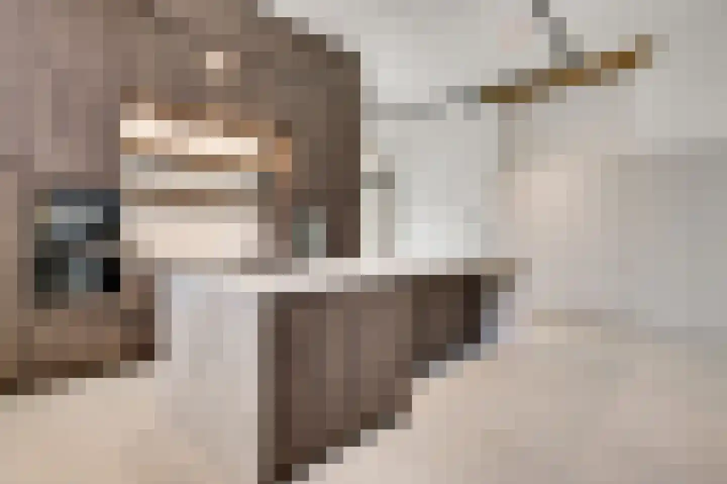 Capucijnengang 6 Maastricht thumbnail 8