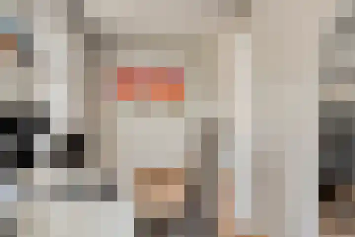 Capucijnenpoort 8 's-Hertogenbosch thumbnail 19