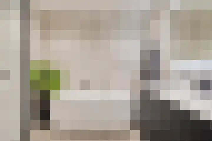 Capucijnenpoort 8 's-Hertogenbosch thumbnail 22