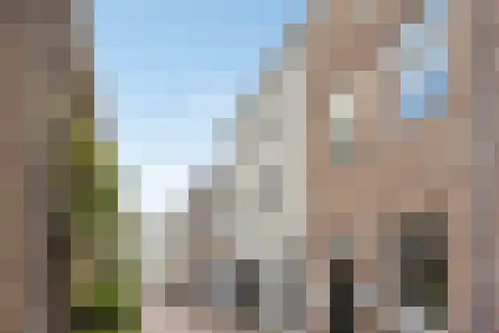 Capucijnenpoort 8 's-Hertogenbosch thumbnail 33