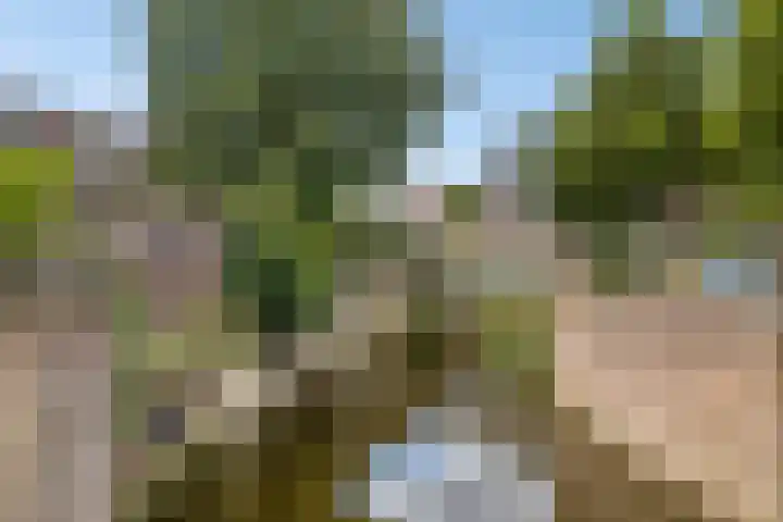 Capucijnenpoort 8 's-Hertogenbosch thumbnail 34