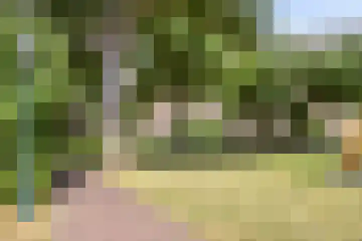 Capucijnenpoort 8 's-Hertogenbosch thumbnail 35
