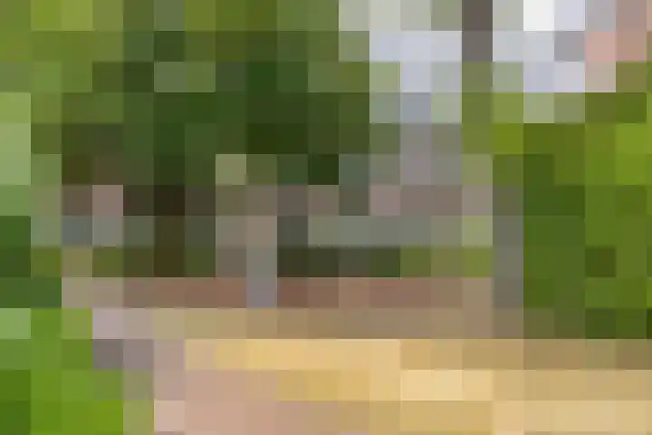 Capucijnenpoort 8 's-Hertogenbosch thumbnail 36
