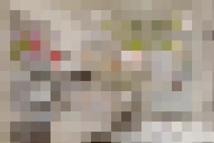 Capucijnenpoort 8 's-Hertogenbosch thumbnail 4