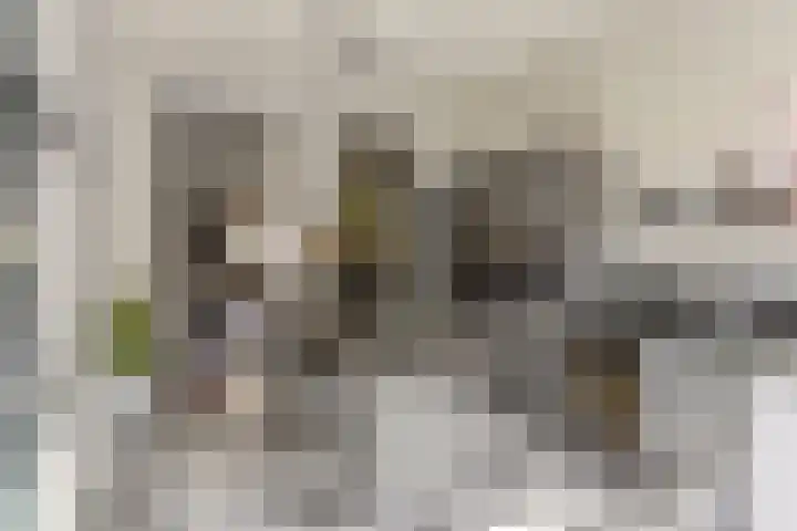 Capucijnenpoort 8 's-Hertogenbosch thumbnail 5