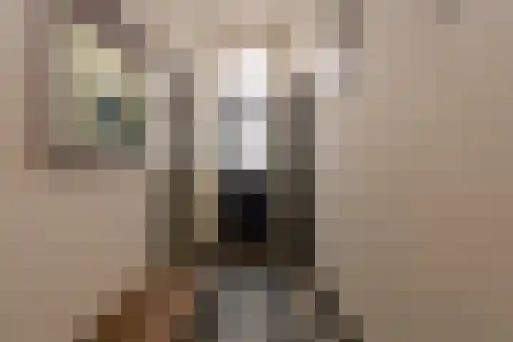 Capucijnenstraat 1 Tilburg thumbnail 10