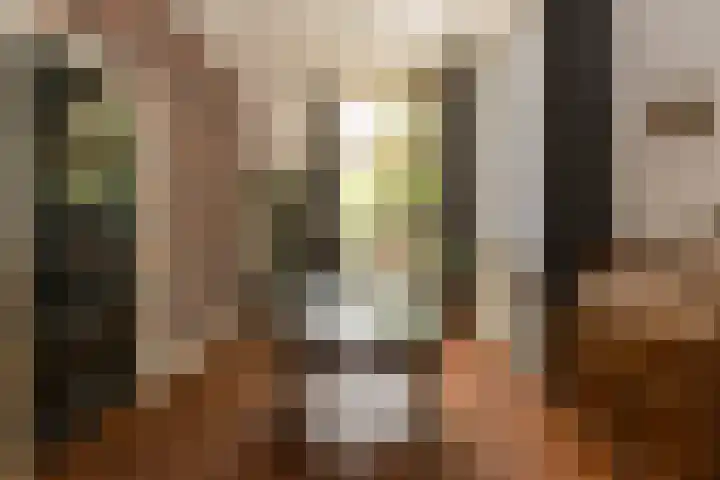 Capucijnenstraat 1 Tilburg thumbnail 15