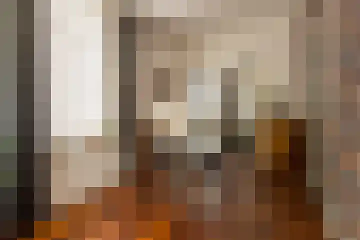 Capucijnenstraat 1 Tilburg thumbnail 16