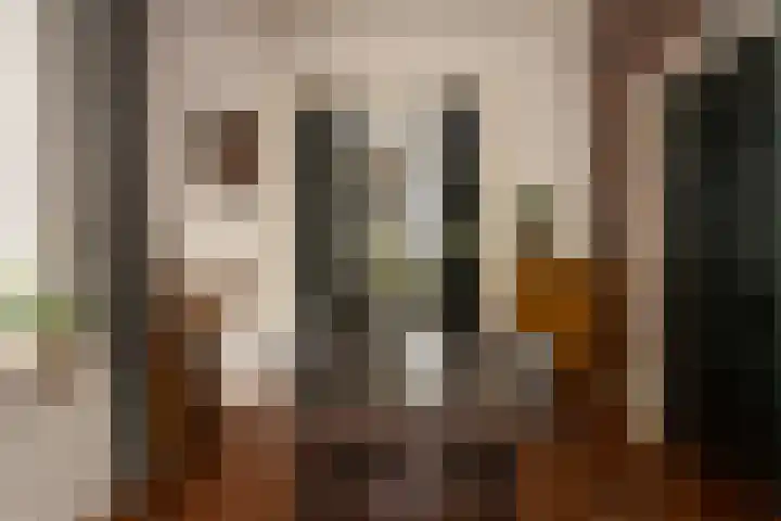 Capucijnenstraat 1 Tilburg thumbnail 17