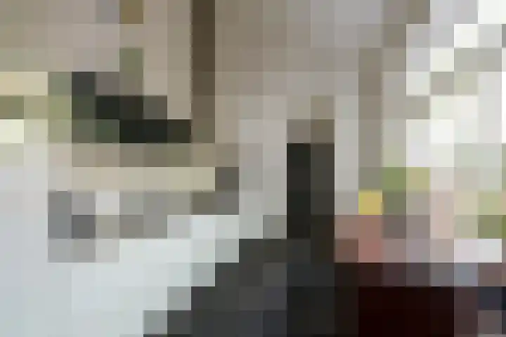 Capucijnenstraat 1 Tilburg thumbnail 19