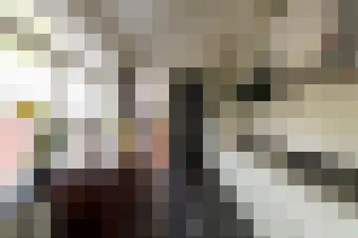 Capucijnenstraat 1 Tilburg thumbnail 20