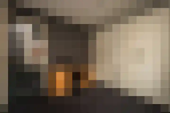 Capucijnenstraat 1 Tilburg thumbnail 26