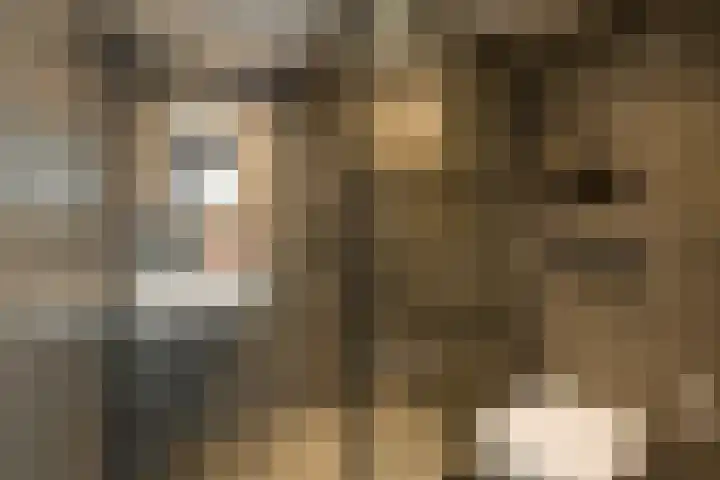 Capucijnenstraat 1 Tilburg thumbnail 43