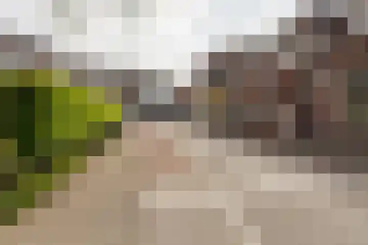 Capucijnenstraat 1 Tilburg thumbnail 57