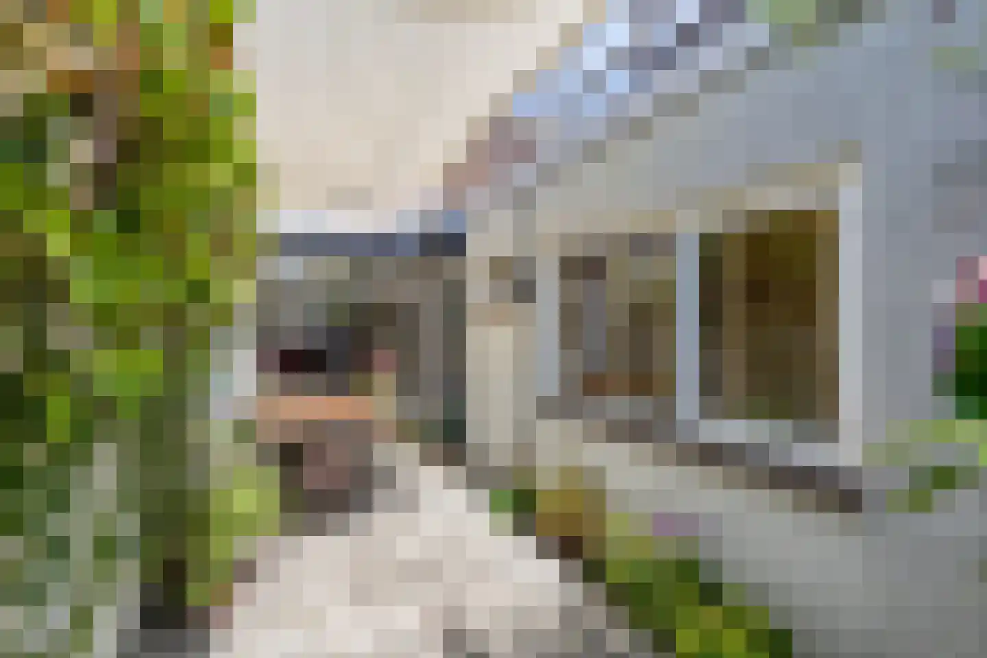 Capucijnenstraat 24 Tilburg thumbnail 27