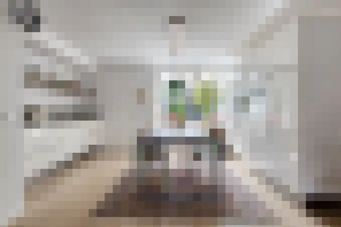 Capucijnenstraat 24 Tilburg thumbnail 6