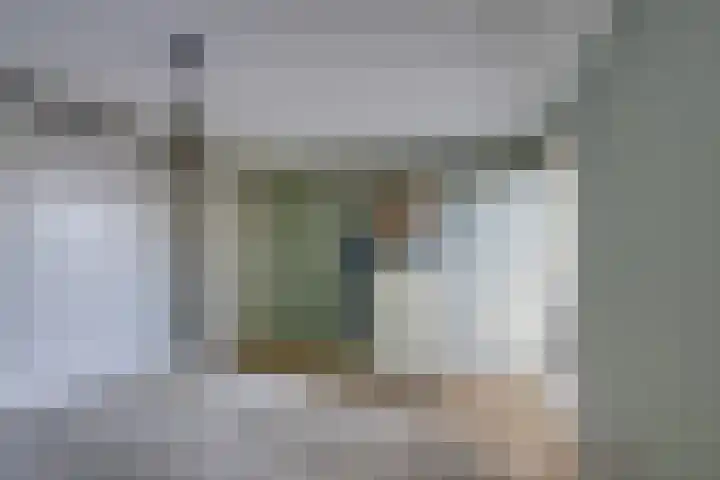 Capucijnenstraat 27 a Biezenmortel thumbnail 39