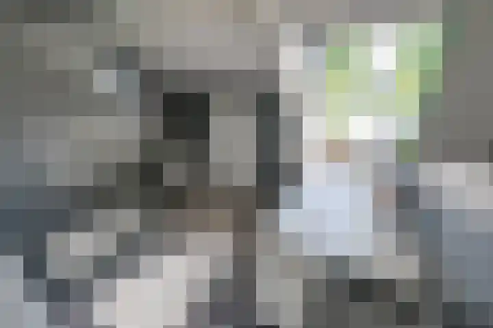Capucijnenstraat 27 a Biezenmortel thumbnail 4