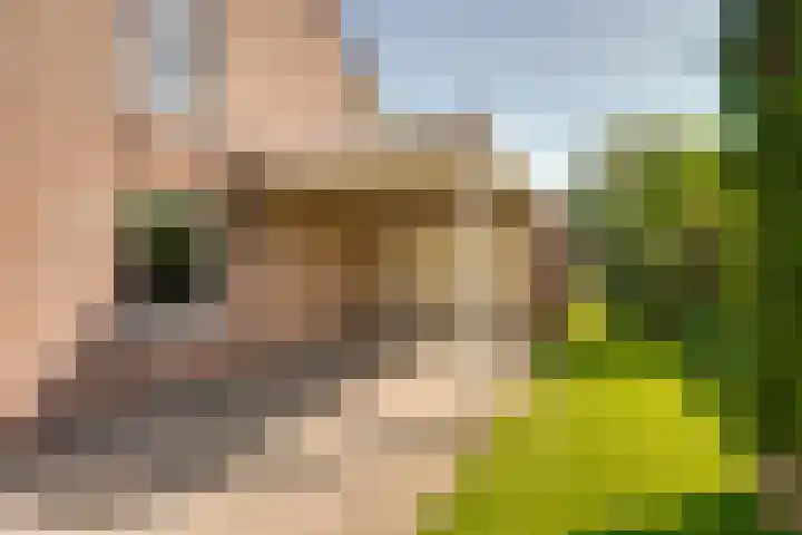 Capucijnenstraat 27 a Biezenmortel thumbnail 8
