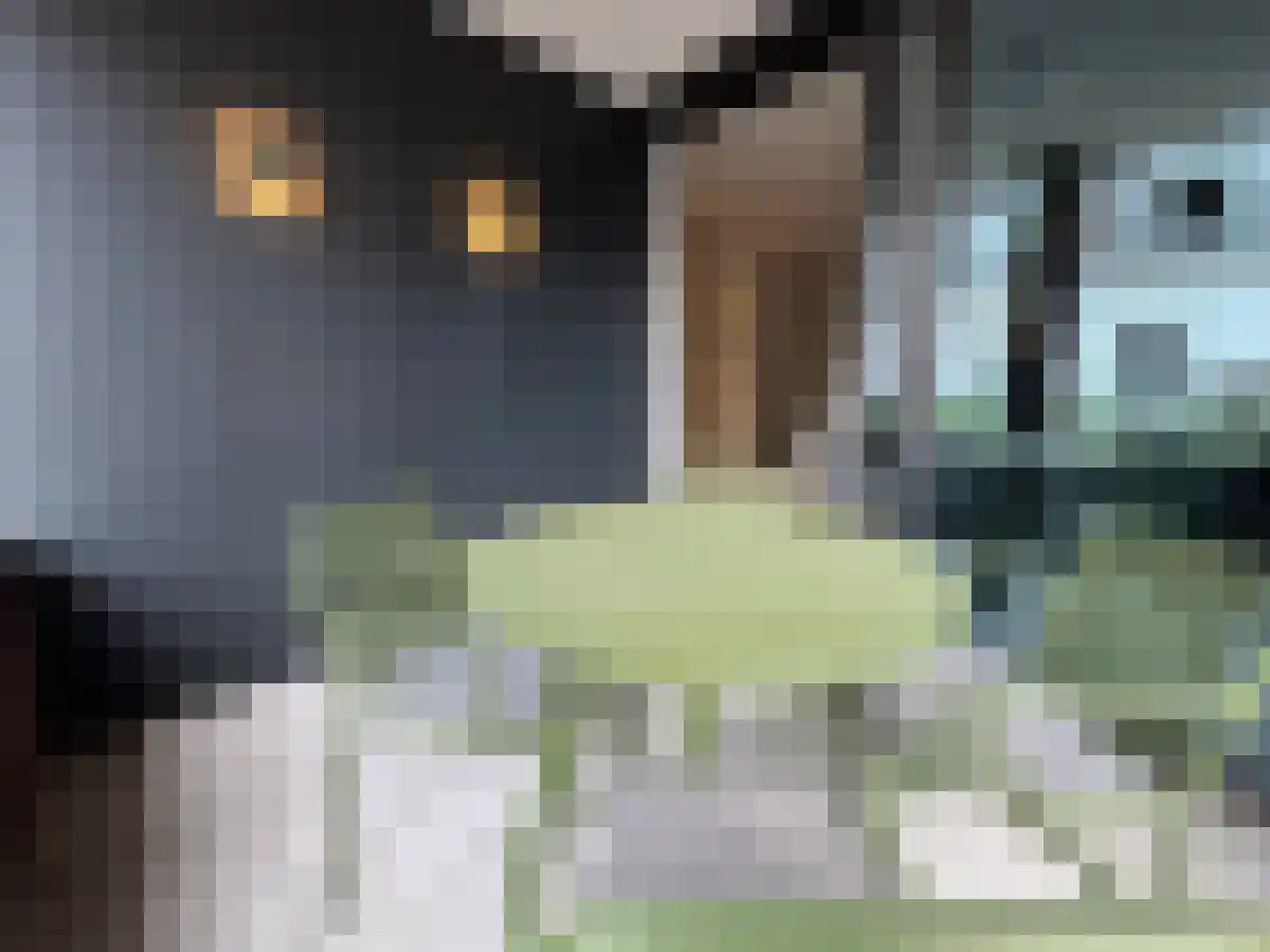 Capucijnenstraat 31 Maastricht thumbnail 5
